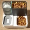 Feeding For Cats Food Bowls 2 In 1 Large Capacity Cat Dog Automatic Feeder Pet Supplies Drinking Dogs Bowl Auto Water Dispenser - Image 3