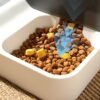 Feeding For Cats Food Bowls 2 In 1 Large Capacity Cat Dog Automatic Feeder Pet Supplies Drinking Dogs Bowl Auto Water Dispenser - Image 4