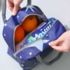 Portable Cartoon Tote Thermal Lunch Box Bag Aluminum Foil Office Student Bento Storage Insulation Bags Cooler Lunch Bag For Kids - Image 6