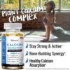 Calcium + Vitamins D3, K2 & B12 + Glucosamine Chondroitin - Supports Bone, Teeth & Muscle Health - Image 6