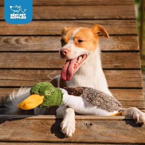 Best Pet Supplies Interactive Squeaky Dog Chew Toy, Ideal Dog Toys for Chewers, Small, Medium - Colour Name : Mallard Duck (Brown) - Size : Small - Image 5
