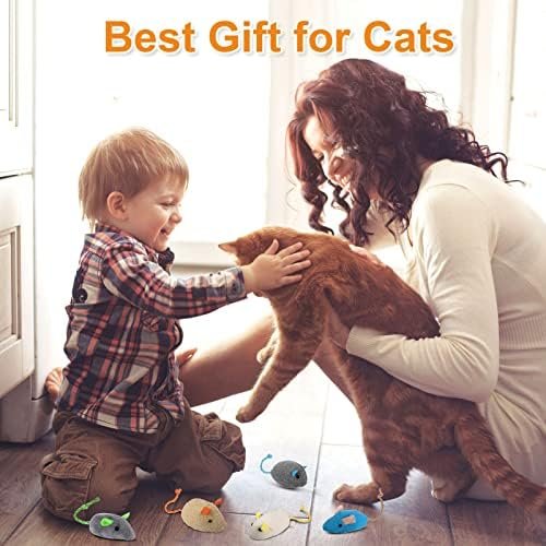 Chef Vinny 9 Pcs Cat Mouse Toys, Catnip Cat Toys : Colour Name: Dark Gray Brown Gray Beige Light White Blue Pink - Image 7