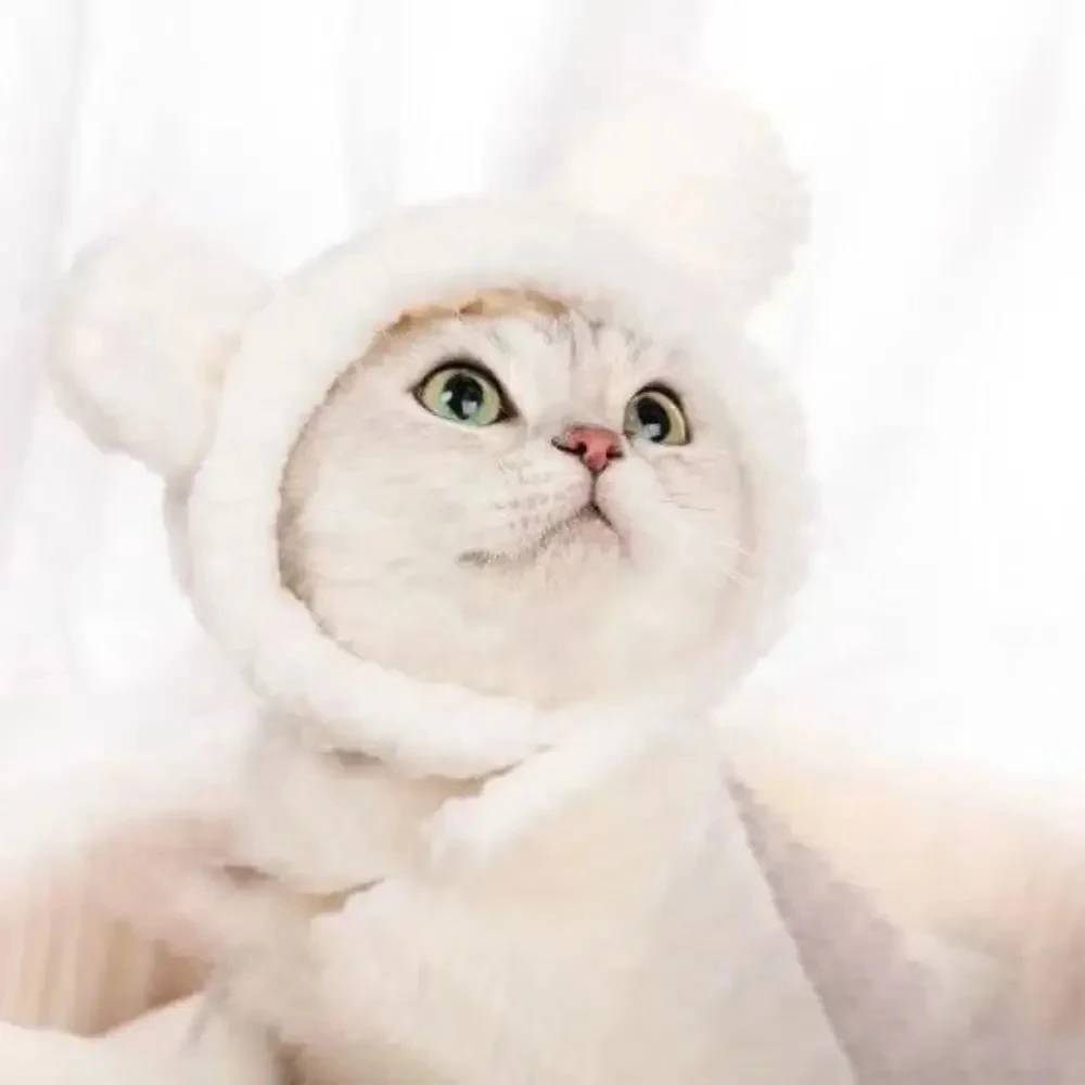 Funny Cat Cap Bear Plush Head Cover Cute Cat Dog Woven Warm Headdress Pet Hat Kitten Puppy Cosplay Costume Accessories - Image 5
